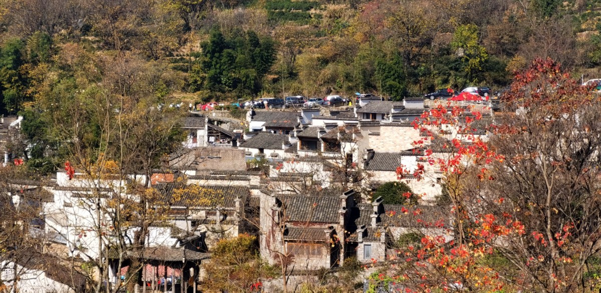 微信图片_20201116115700.jpg