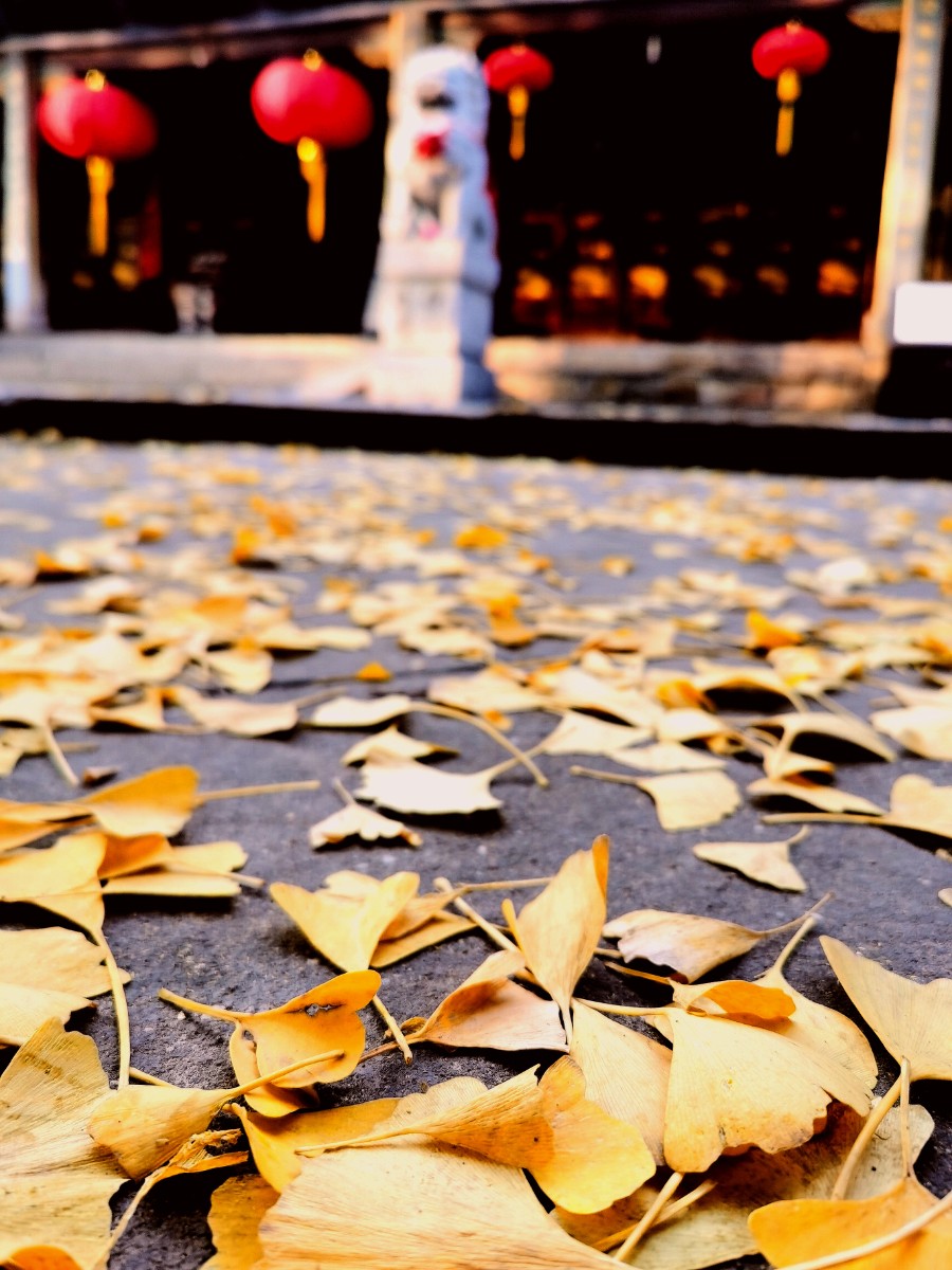 IMG_20201117_212803.jpg