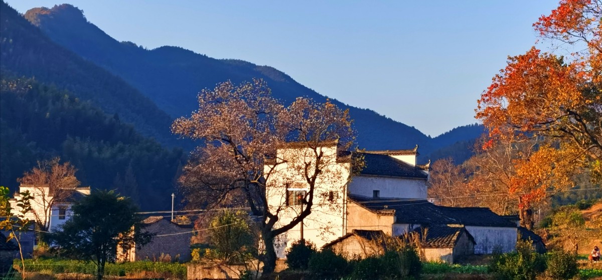 微信图片_20201118203331.jpg