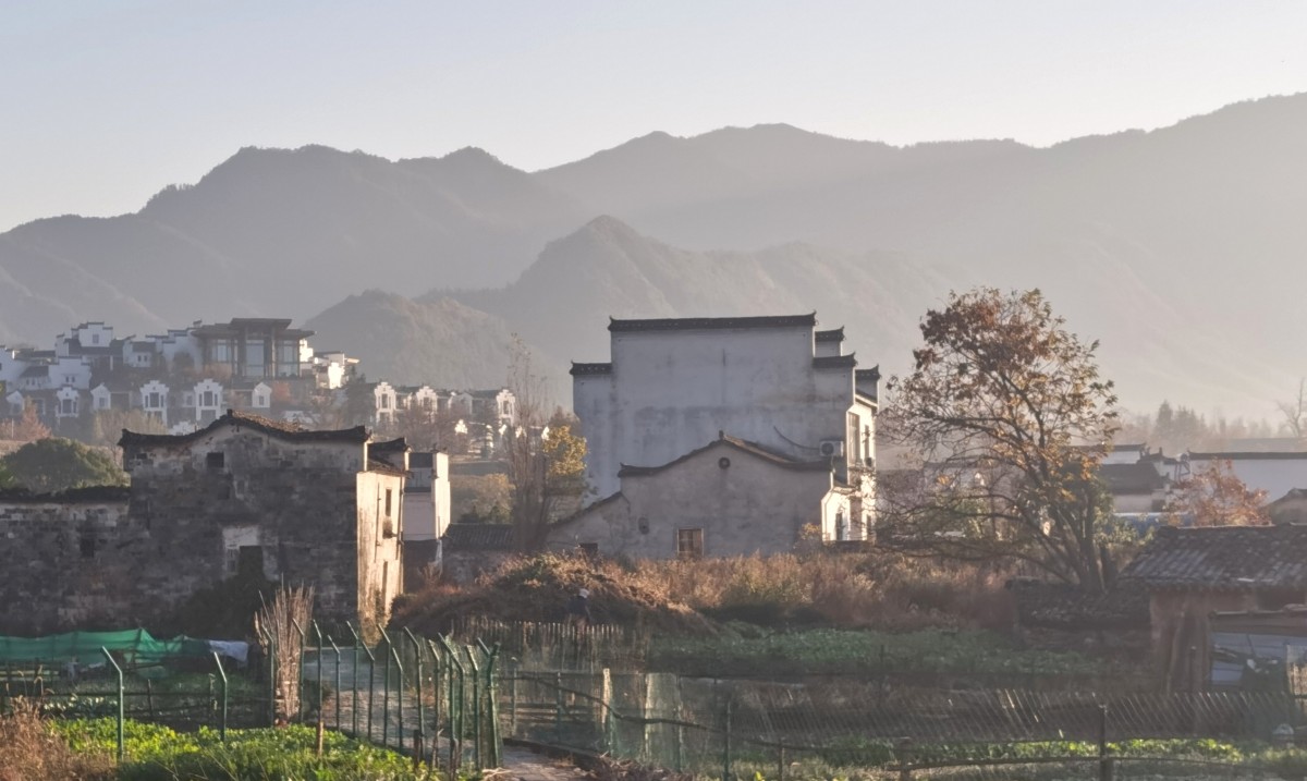 微信图片_20201118203306.jpg