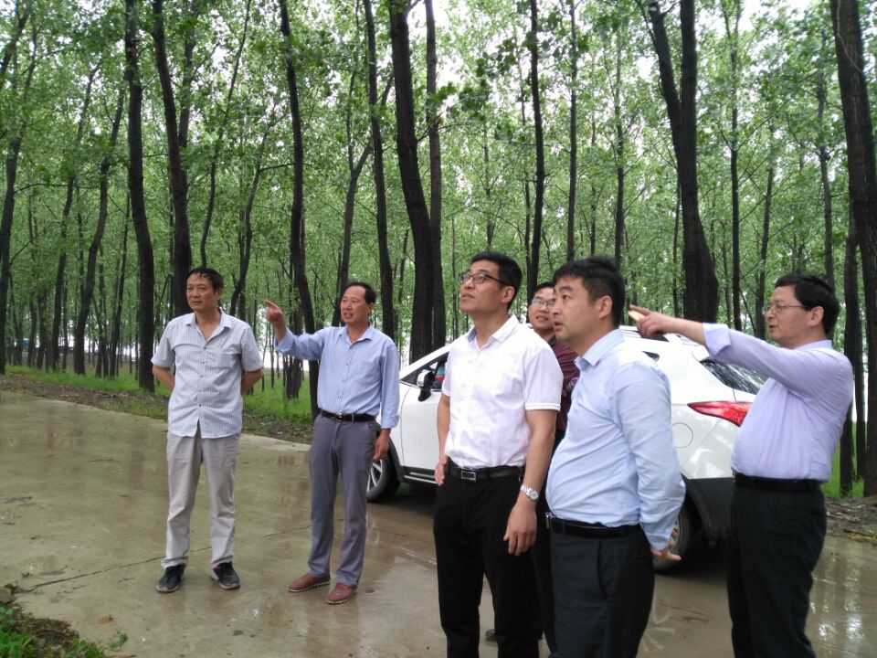 微信图片_20201120143401.jpg 微信图片_20201120143401.jpg