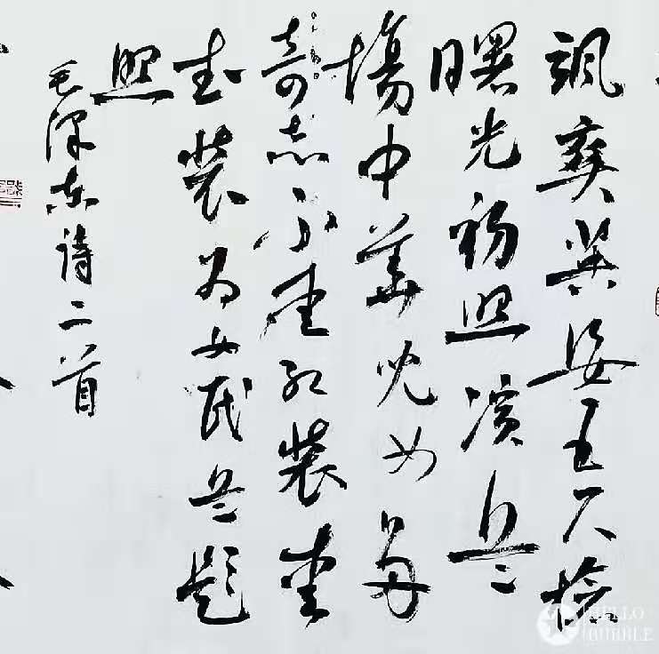 微信图片_20201127204110.jpg