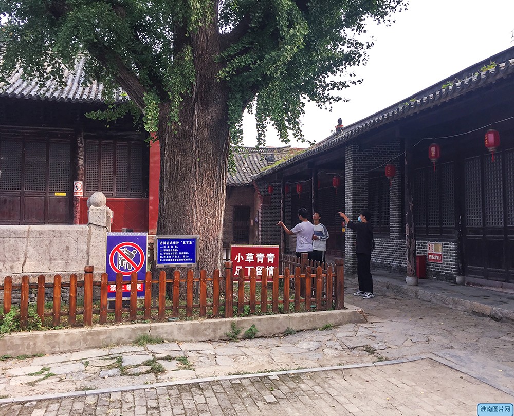 IMG_8377_副本.jpg
