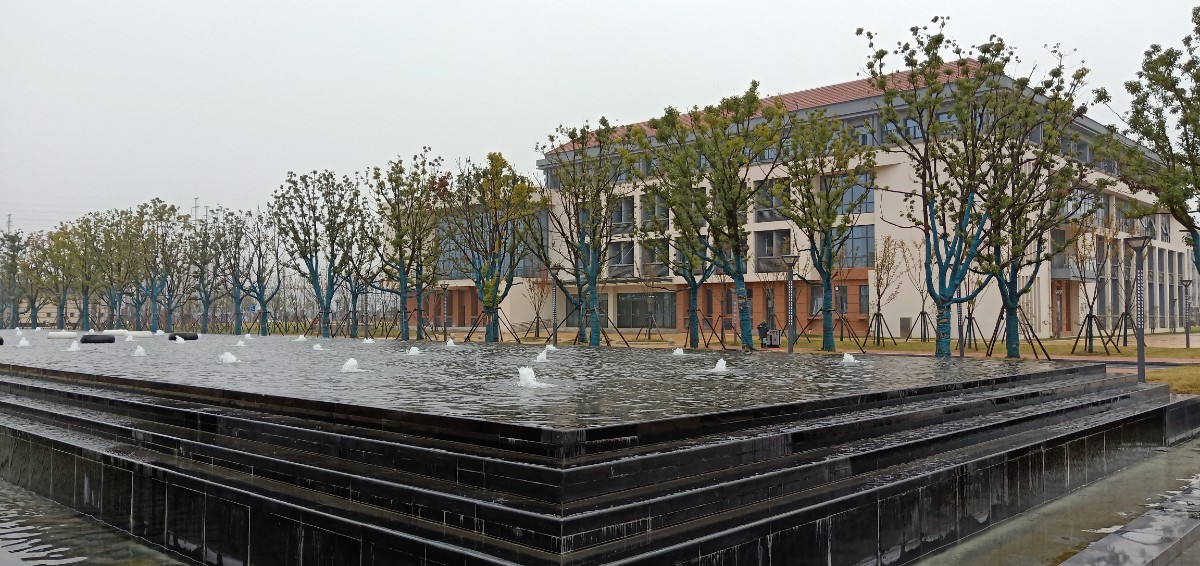 IMG20201207092937.jpg