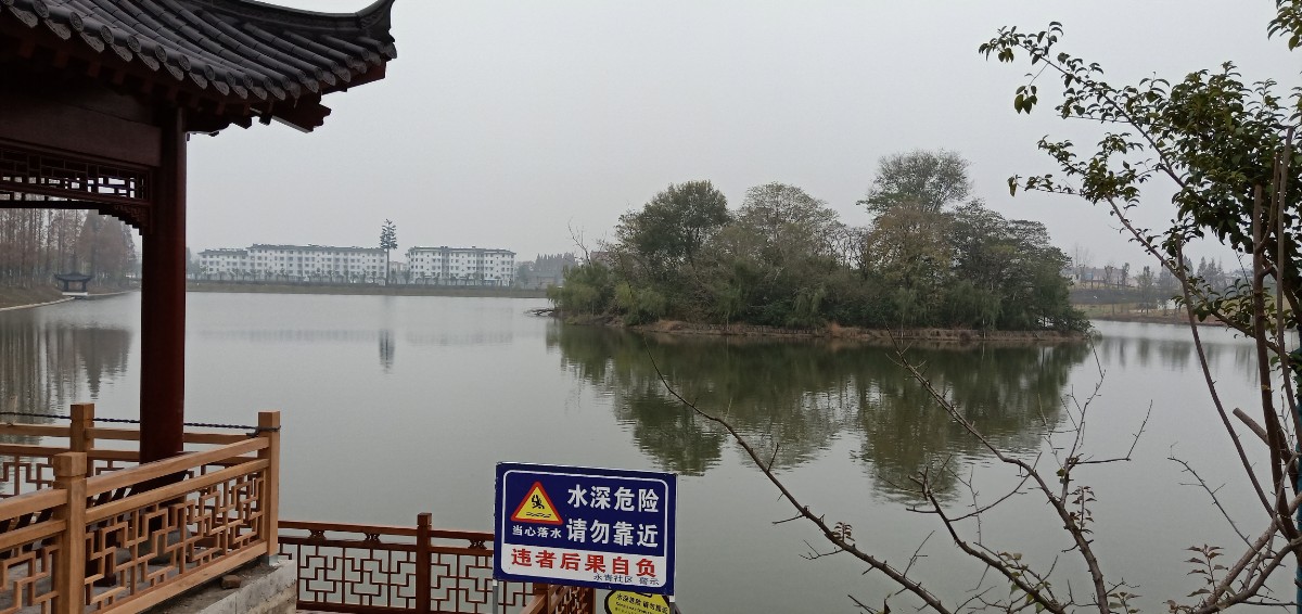 IMG20201207150321.jpg
