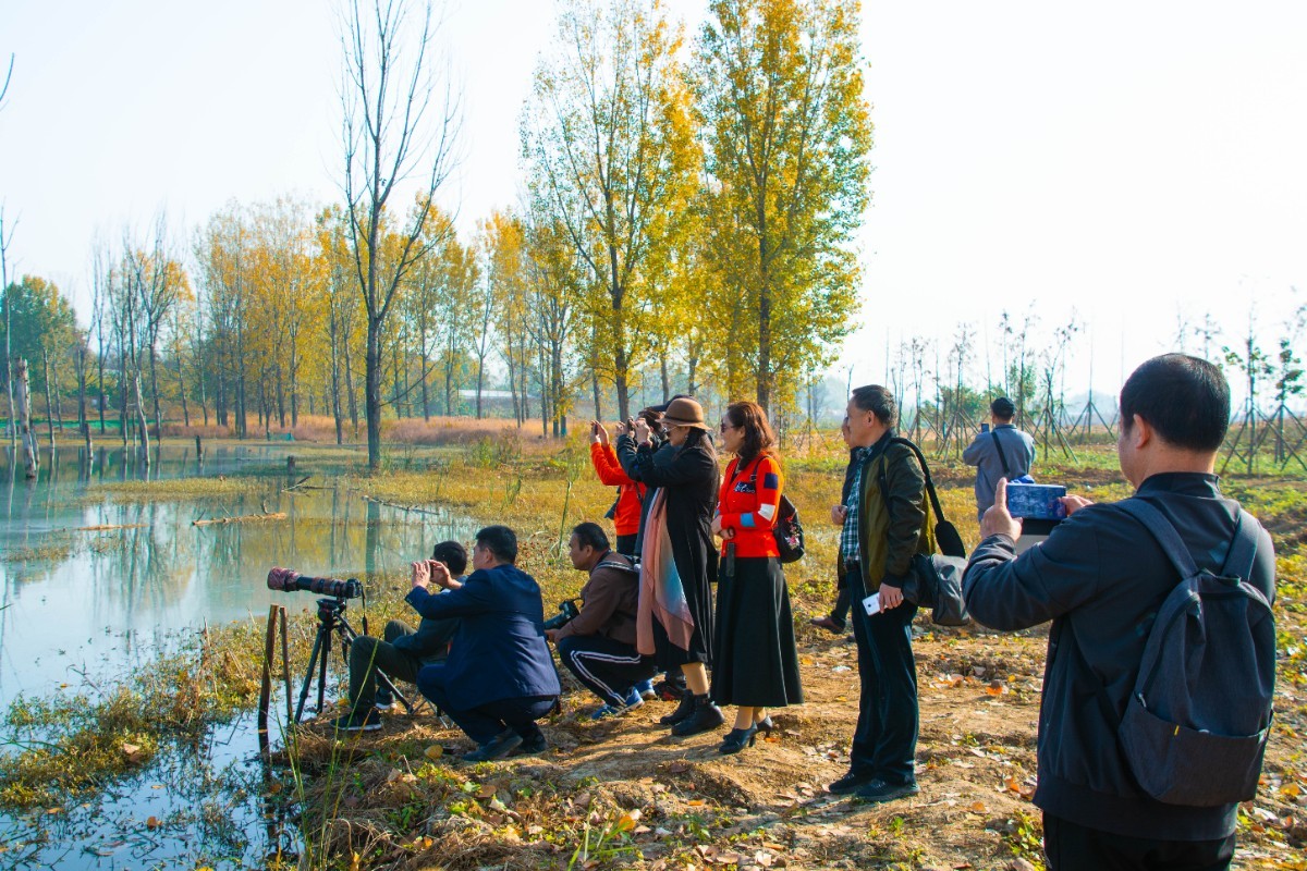 微信图片_20201112133709.jpg