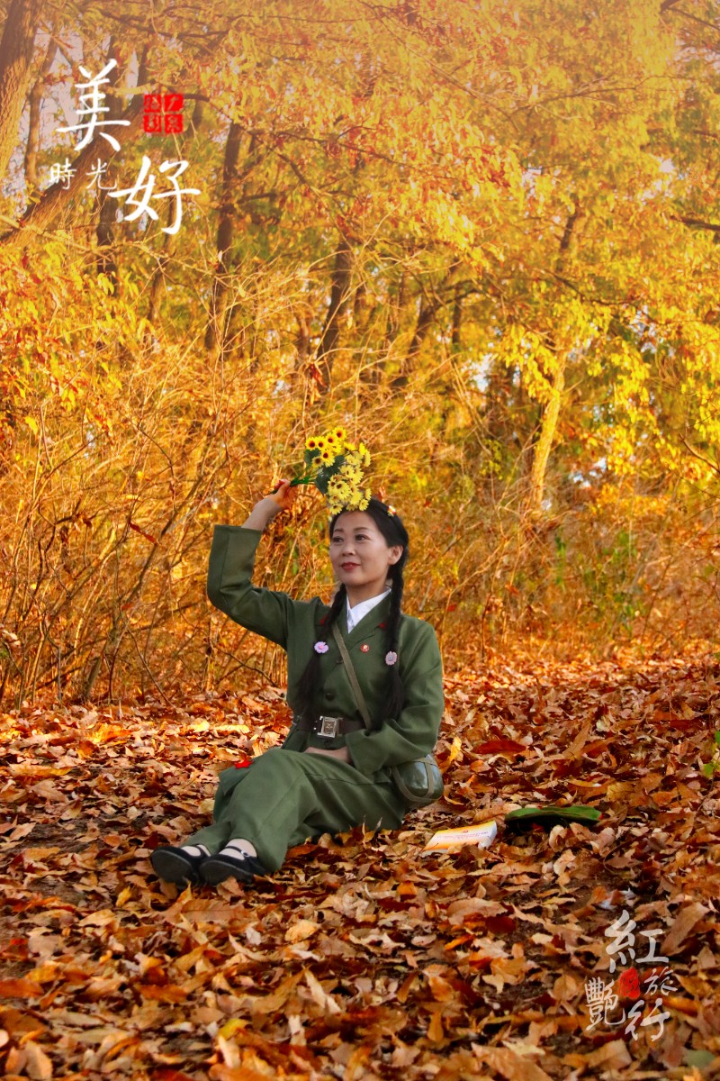 20201114卧龙山水有红艳5-1.jpg