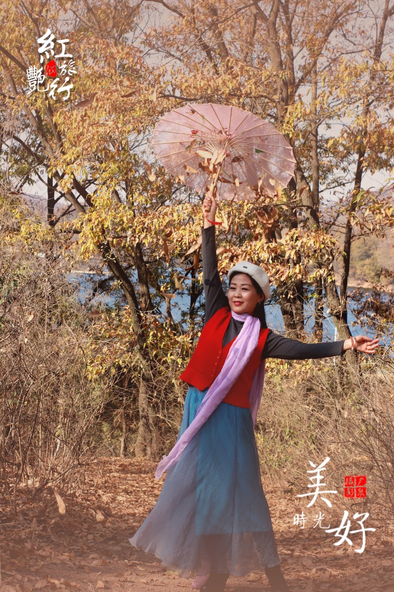 20201114卧龙山水有红艳5-5.jpg