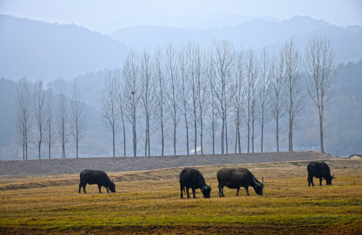 DSC_7213_调整大小.JPG