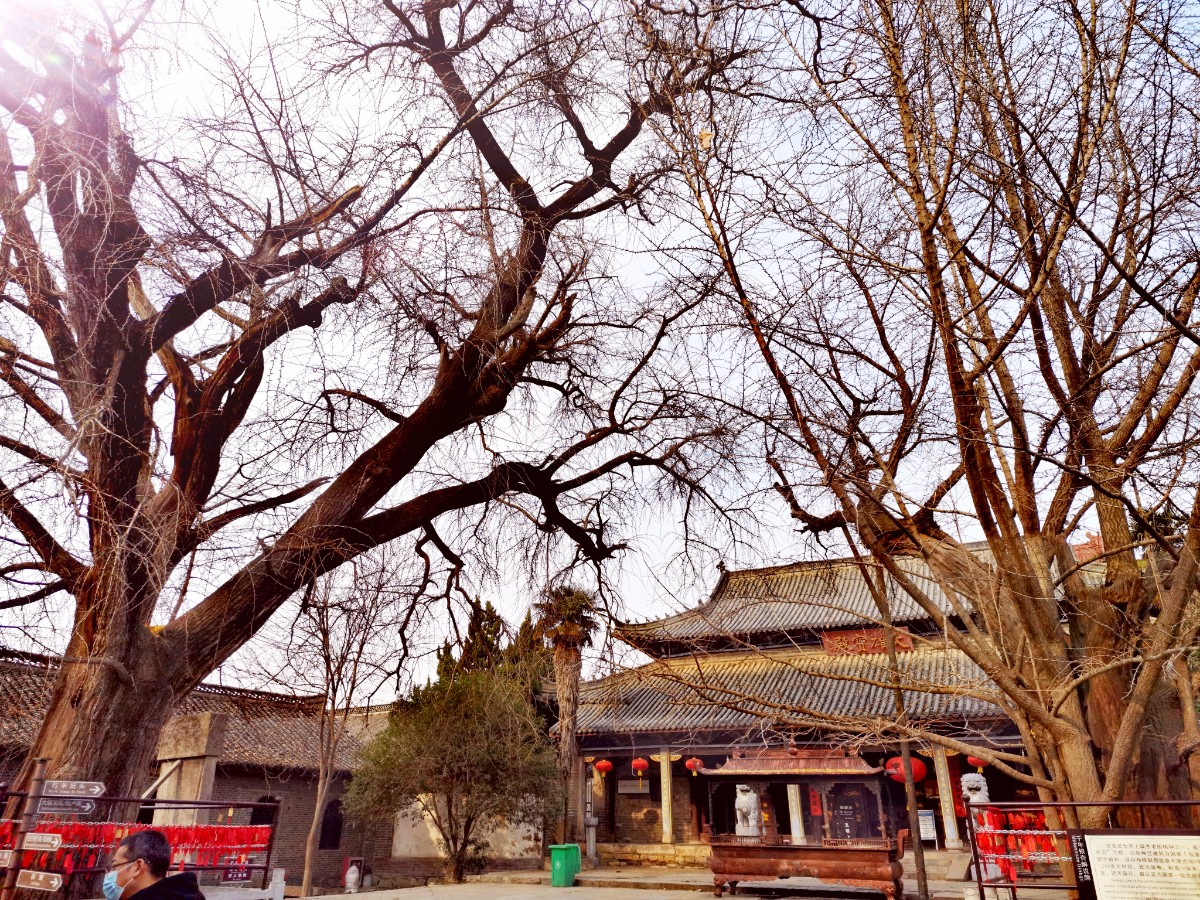微信图片_20210108075232.jpg 微信图片_20210108075232.jpg
