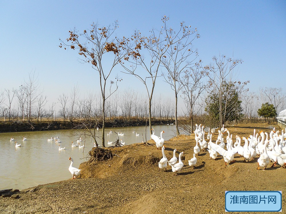 《11》DSCN2051_副本.jpg