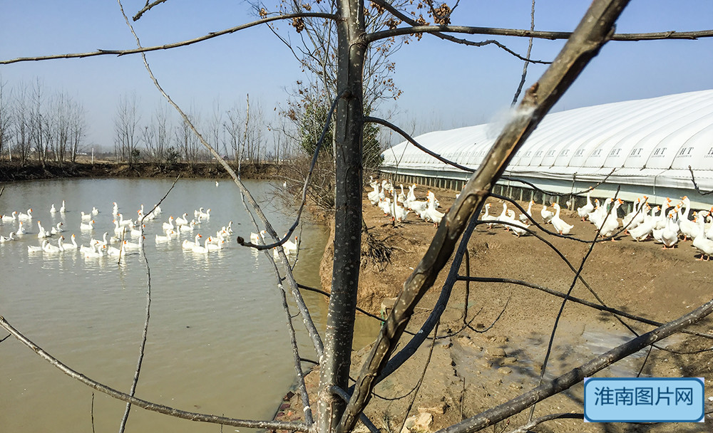 《12》IMG_2910_副本.jpg