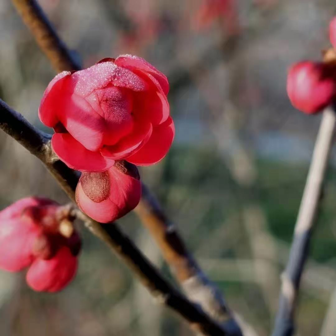 微信图片_20210218085152.jpg