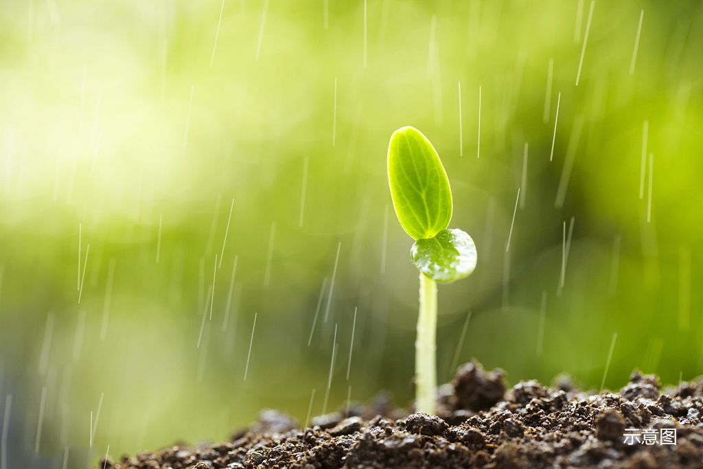 步韵纪建淮雨水诗友唱和