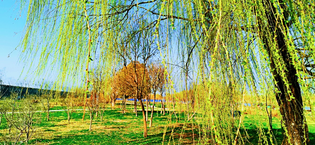 微信图片_202102210711015.jpg 微信图片_202102210711015.jpg