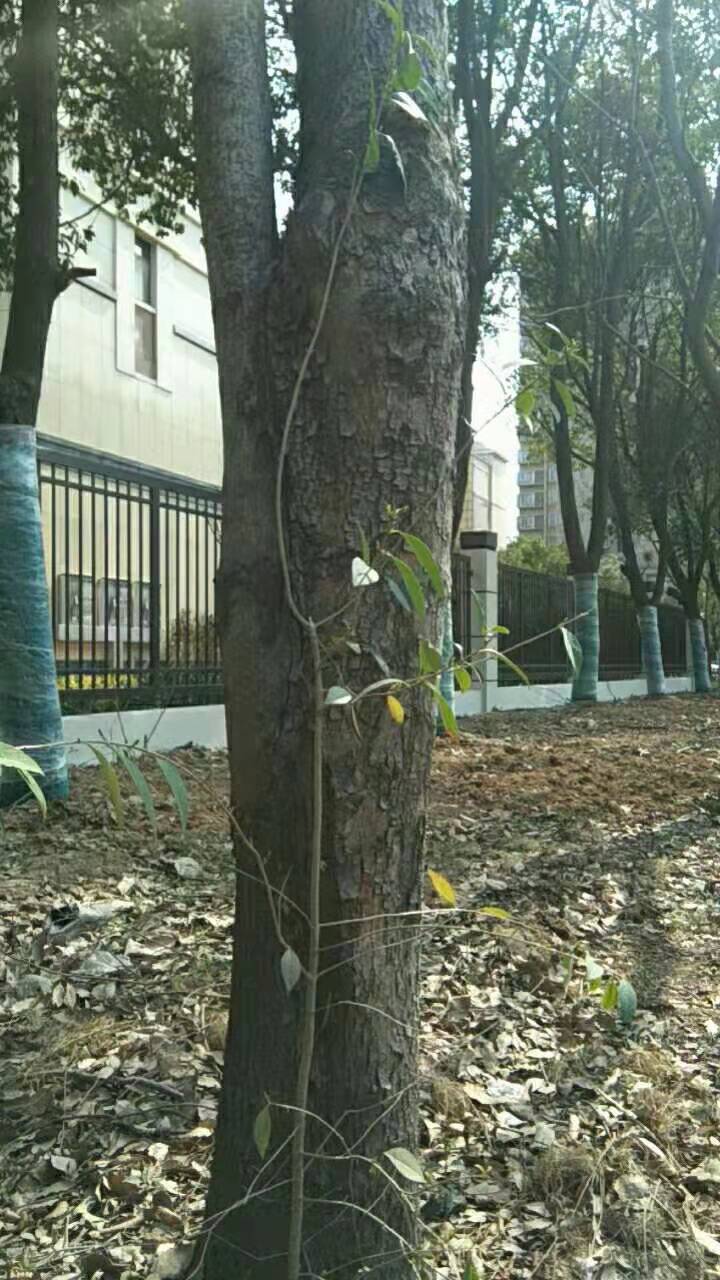 微信图片_20210223220605.jpg