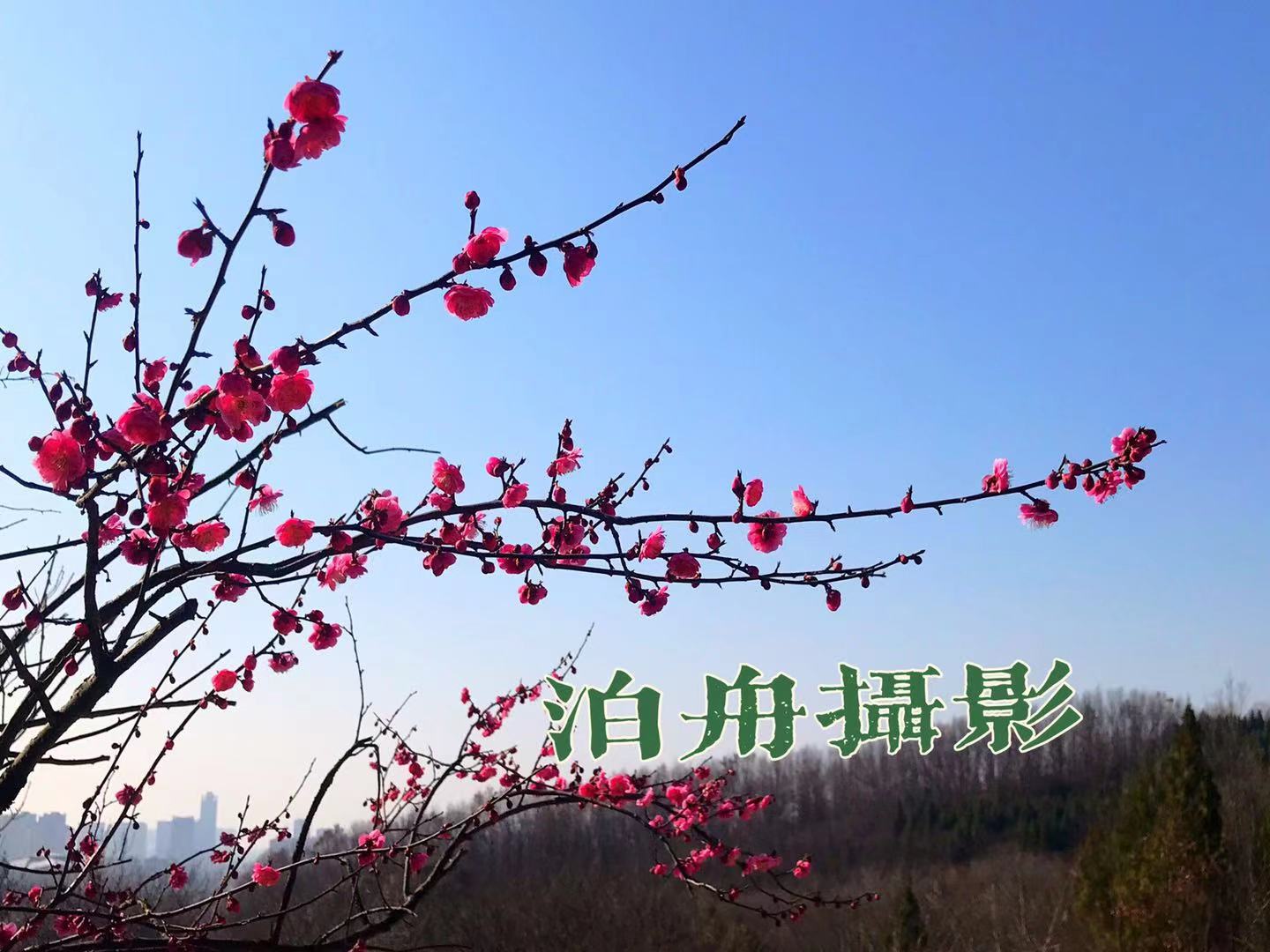 微信图片_20210224104256.jpg