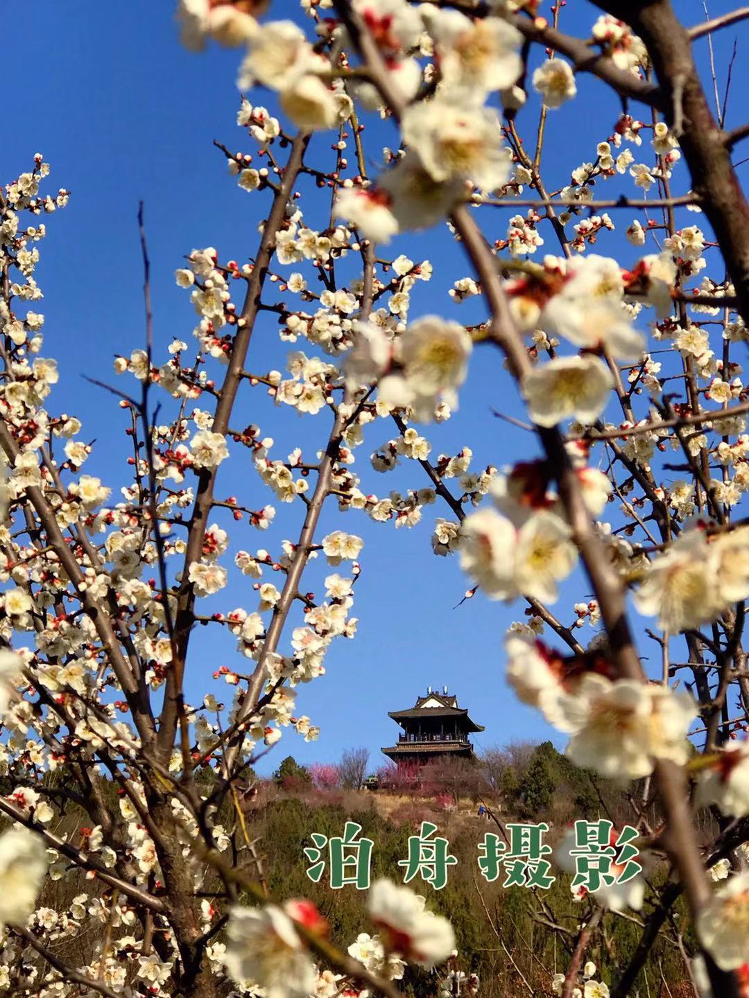微信图片_20210224104315.jpg