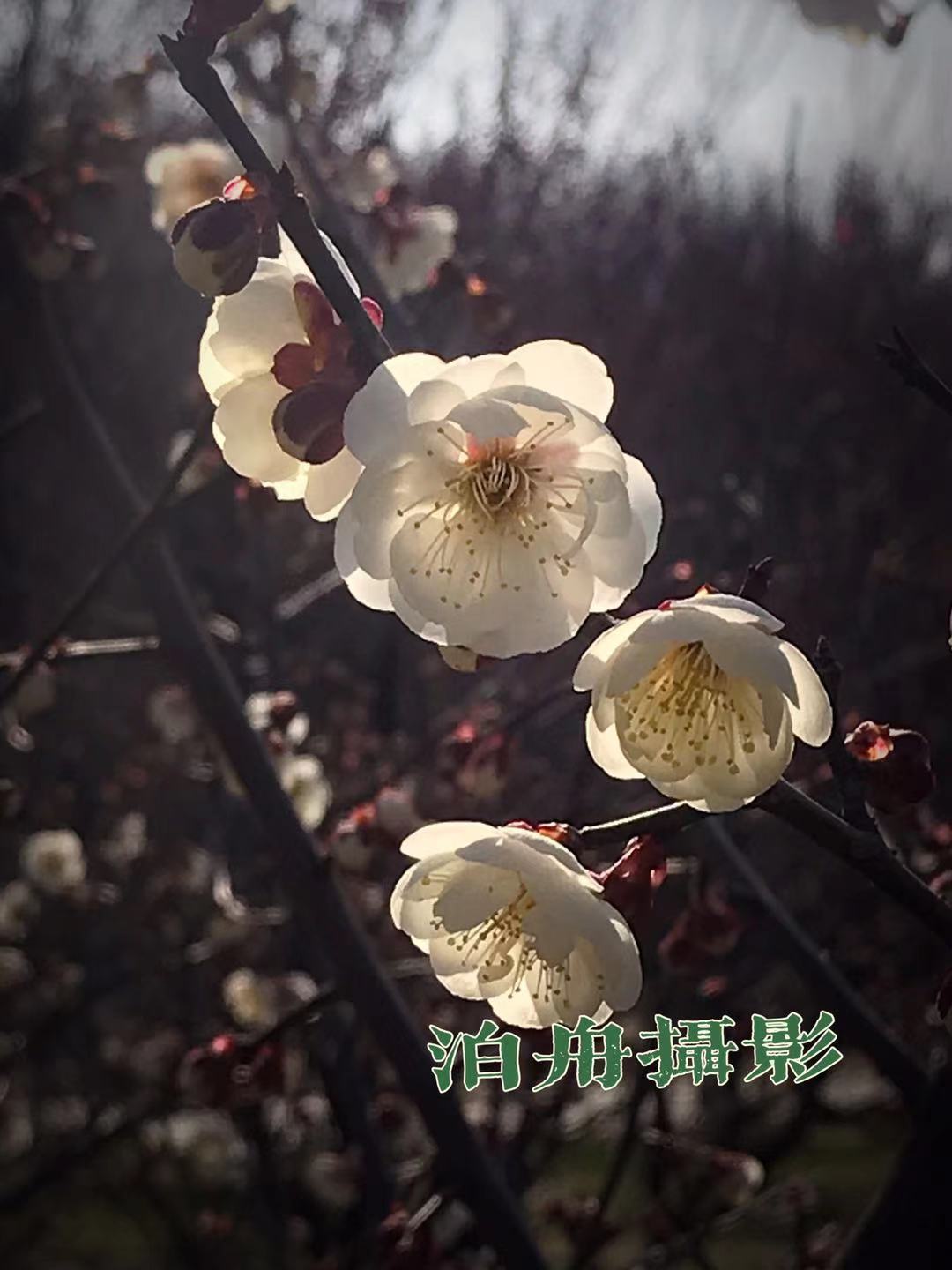 微信图片_20210224104307.jpg