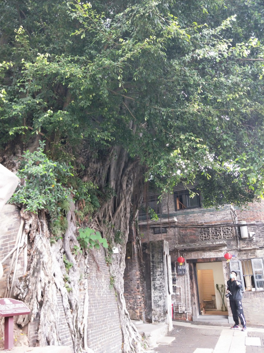 IMG20210310153320.jpg