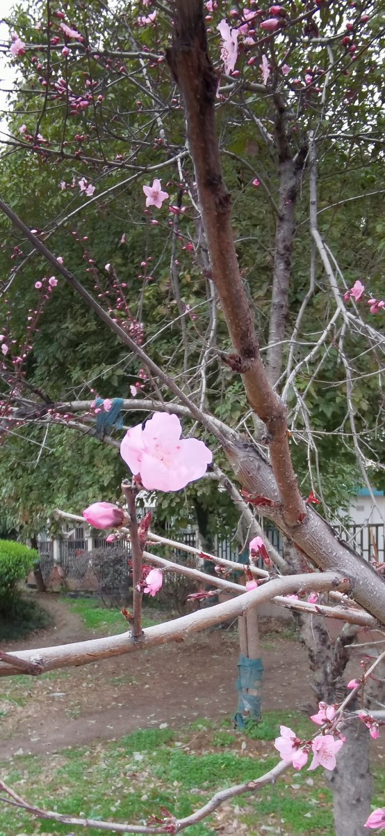 微信图片_202103151103011.jpg 微信图片_202103151103011.jpg