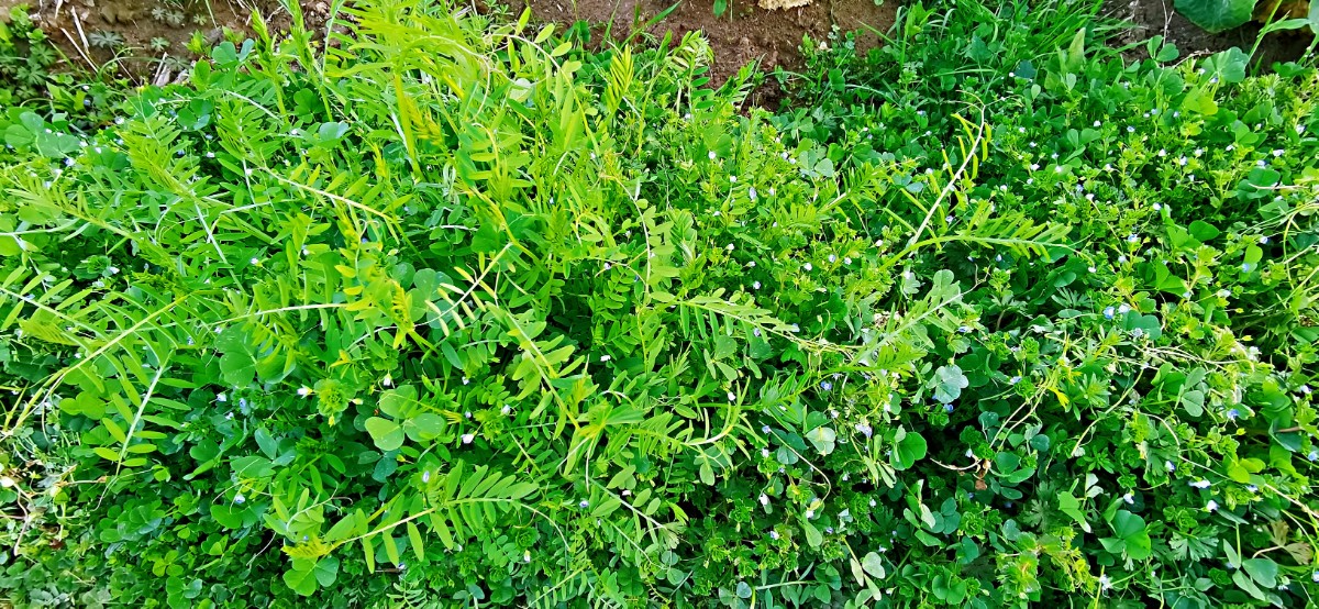 微信图片_202103151102591.jpg 微信图片_202103151102591.jpg