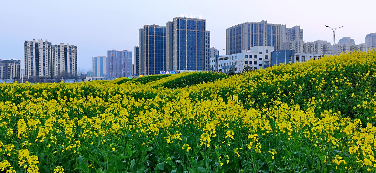 微信图片_2021031511030011.jpg