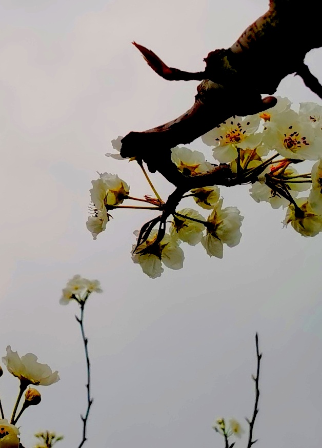微信图片_20210329224606.jpg