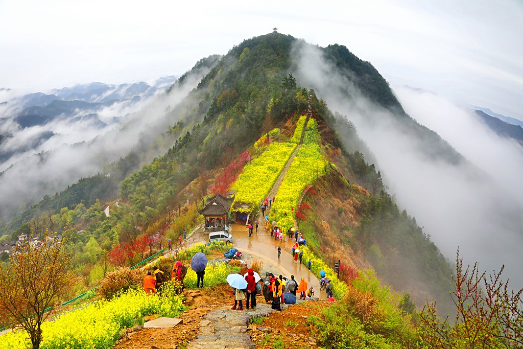 IMG_3269_调整大小.JPG