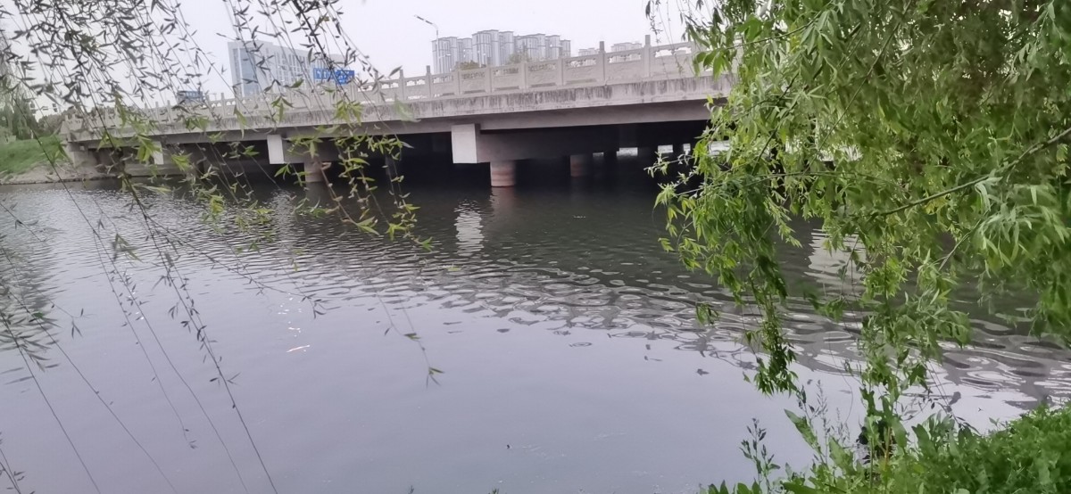 微信图片_202104160940341.jpg 微信图片_202104160940341.jpg