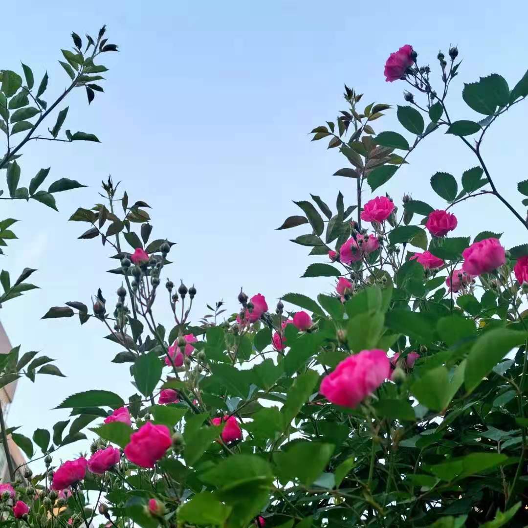 微信图片_20210418195050.jpg