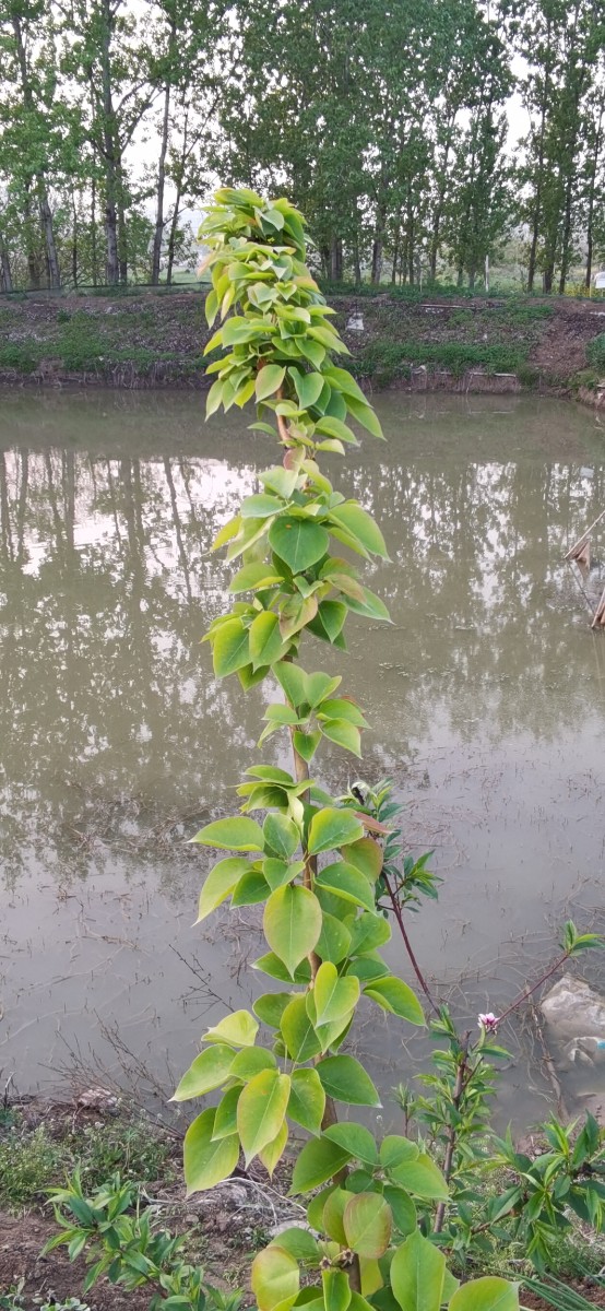微信图片_202104160940343.jpg 微信图片_202104160940343.jpg