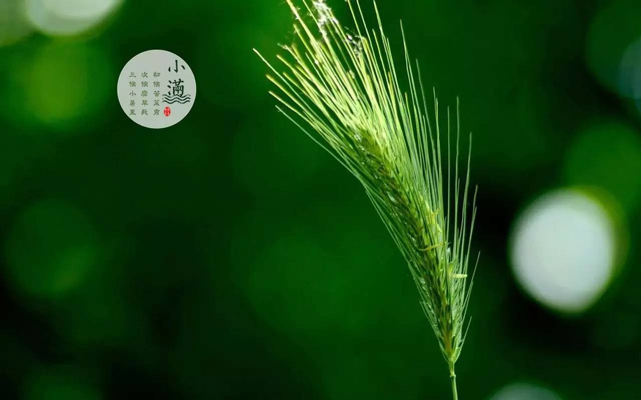 微信图片_20210521135740.jpg 微信图片_20210521135740.jpg
