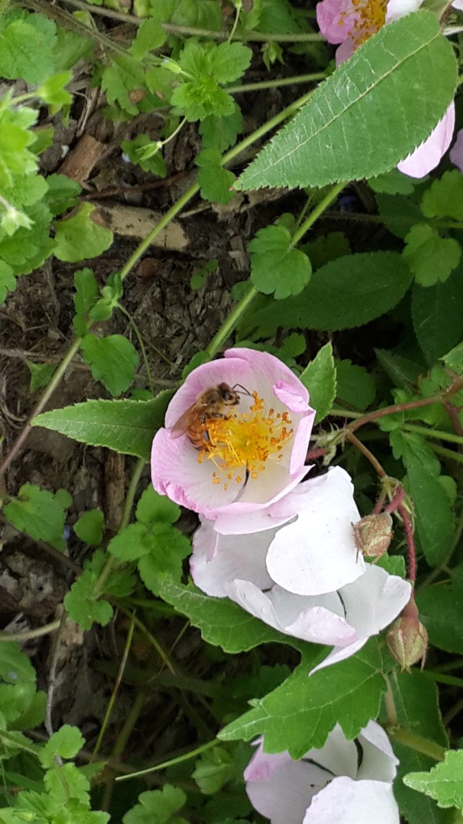 20140504_153534.jpg