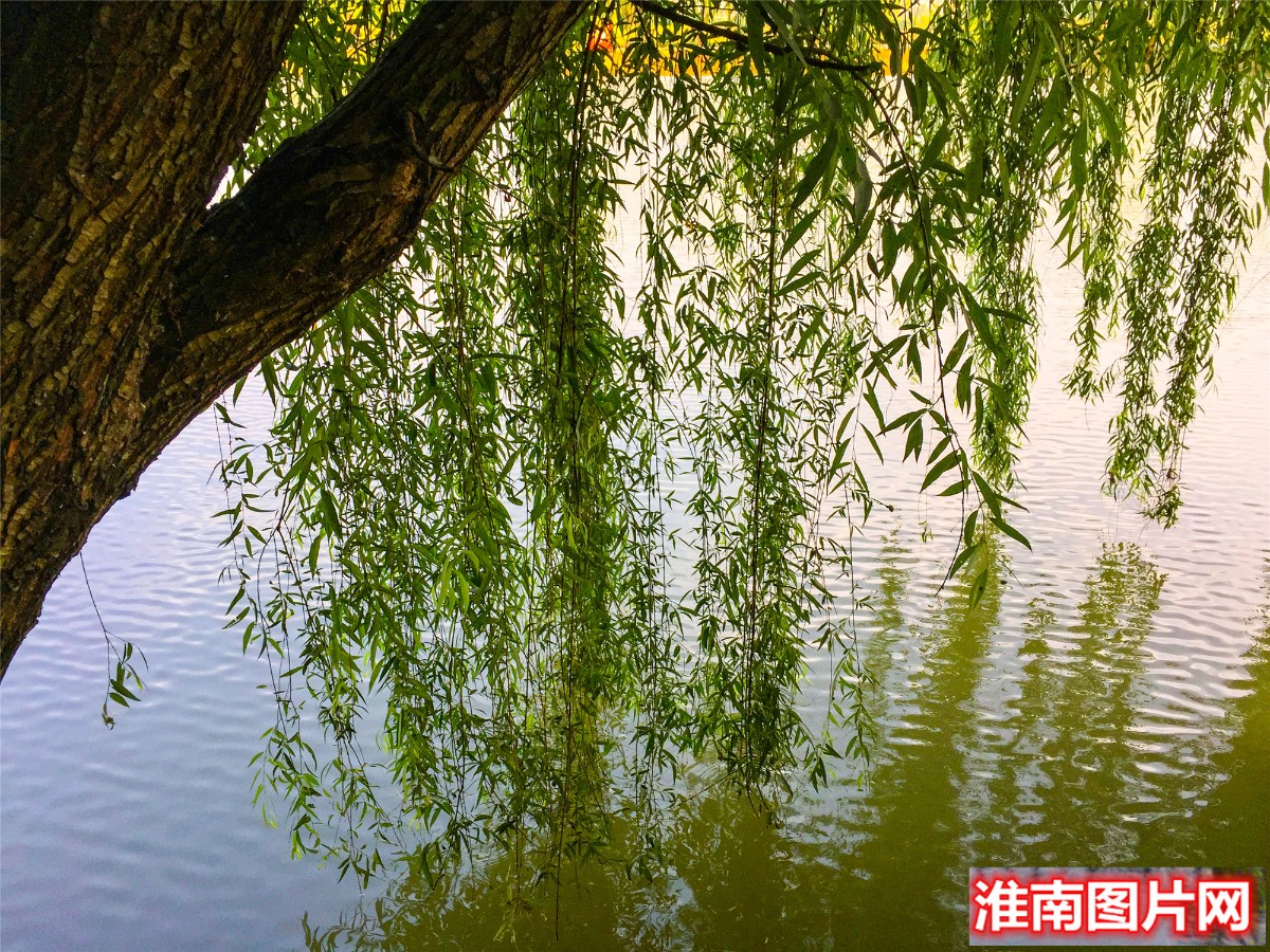 10IMG_4676_副本_副本.jpg