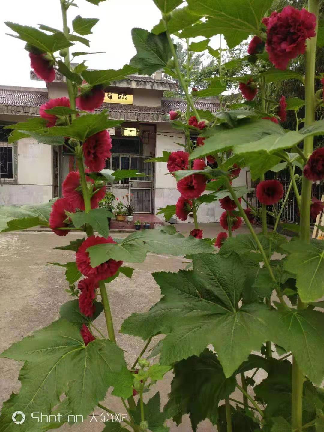 微信图片_20210609064037.jpg 微信图片_20210609064037.jpg