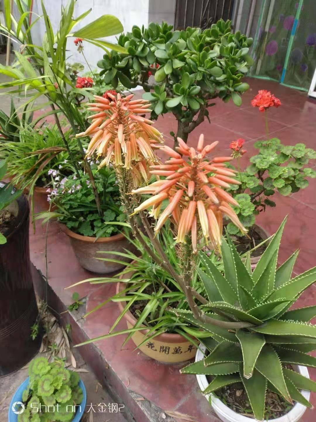微信图片_20210609064042.jpg 微信图片_20210609064042.jpg