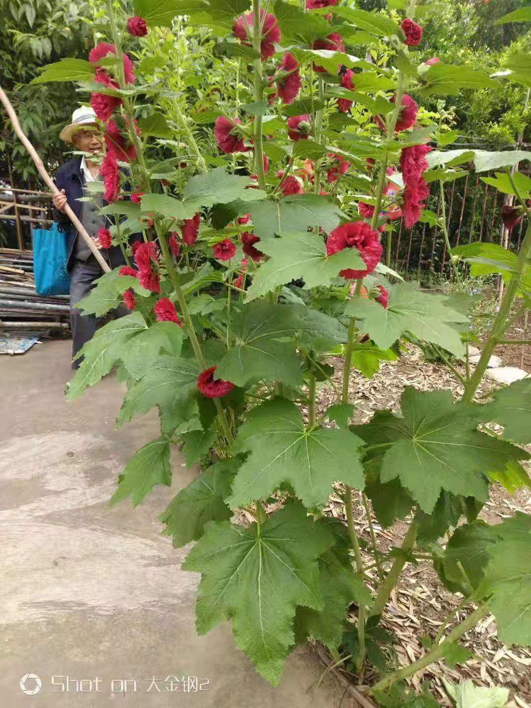 微信图片_20210609064049.jpg 微信图片_20210609064049.jpg