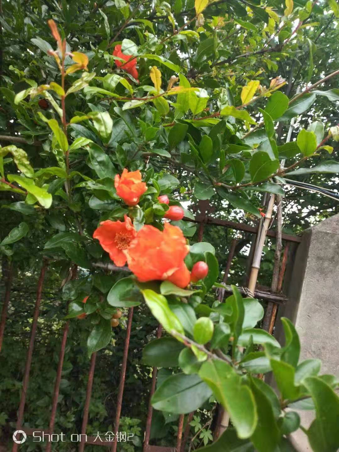 微信图片_20210609064104.jpg
