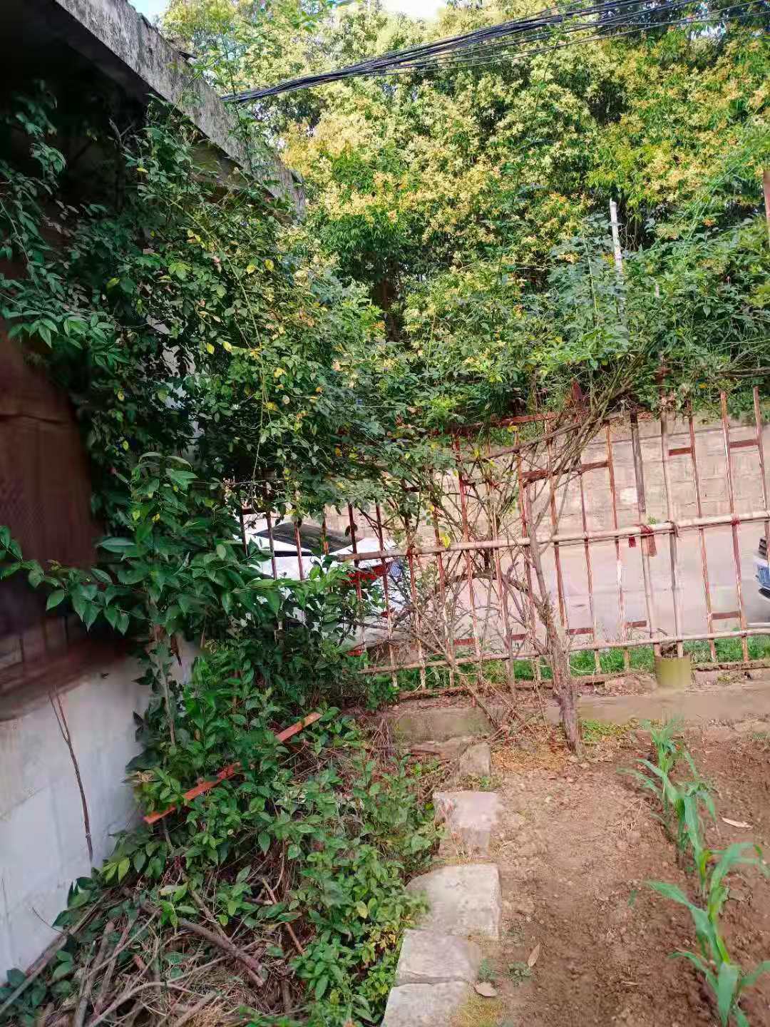 微信图片_20210609082058.jpg 微信图片_20210609082058.jpg