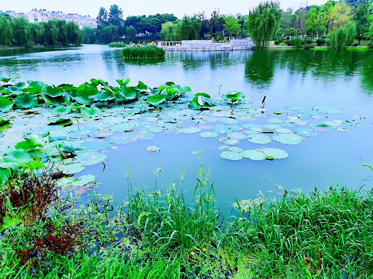 微信图片_20210703064310.jpg 微信图片_20210703064310.jpg