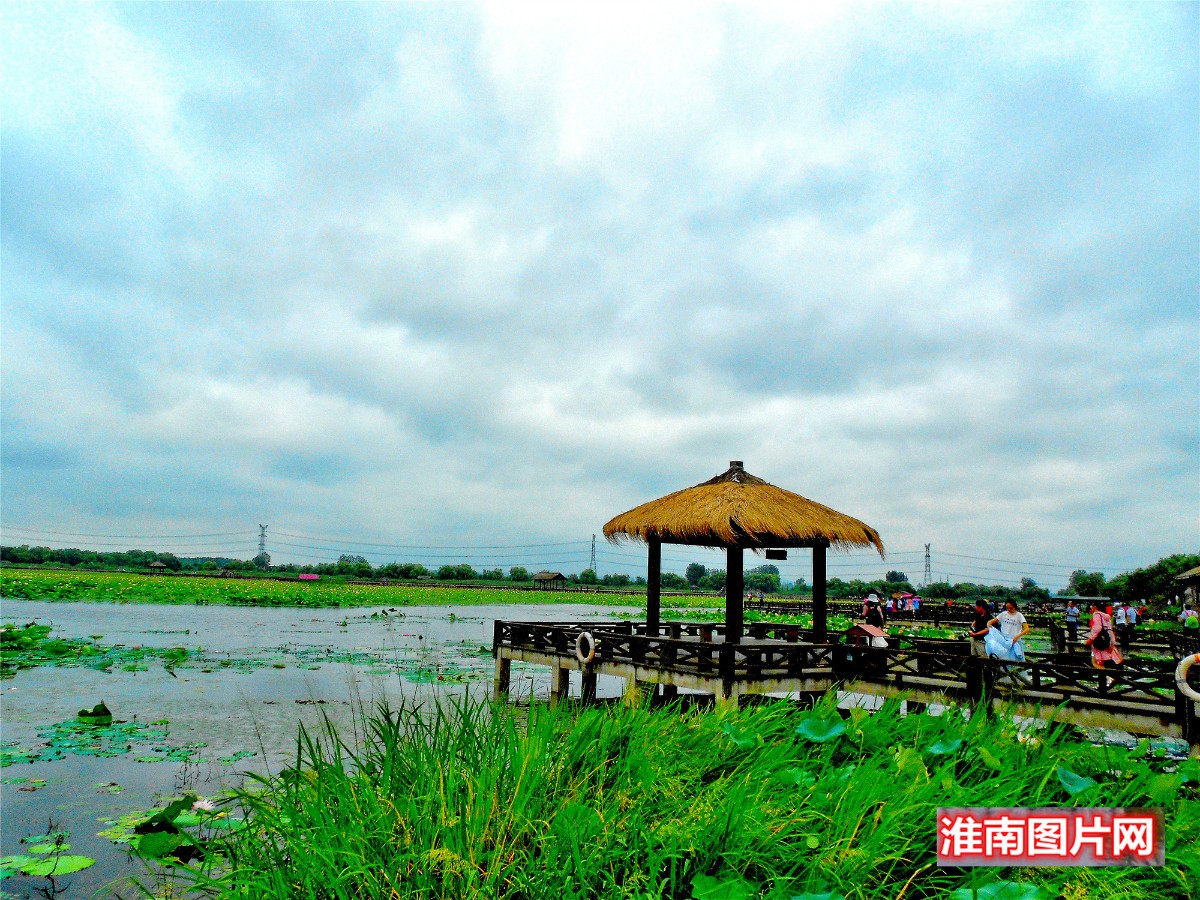84DSCN0844_副本_副本.jpg