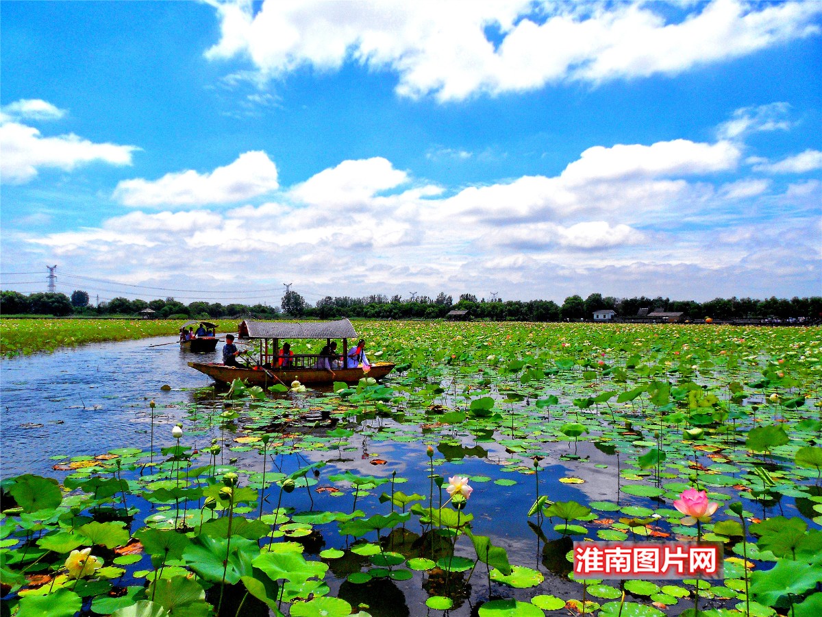 88DSCN0950_副本_副本.jpg