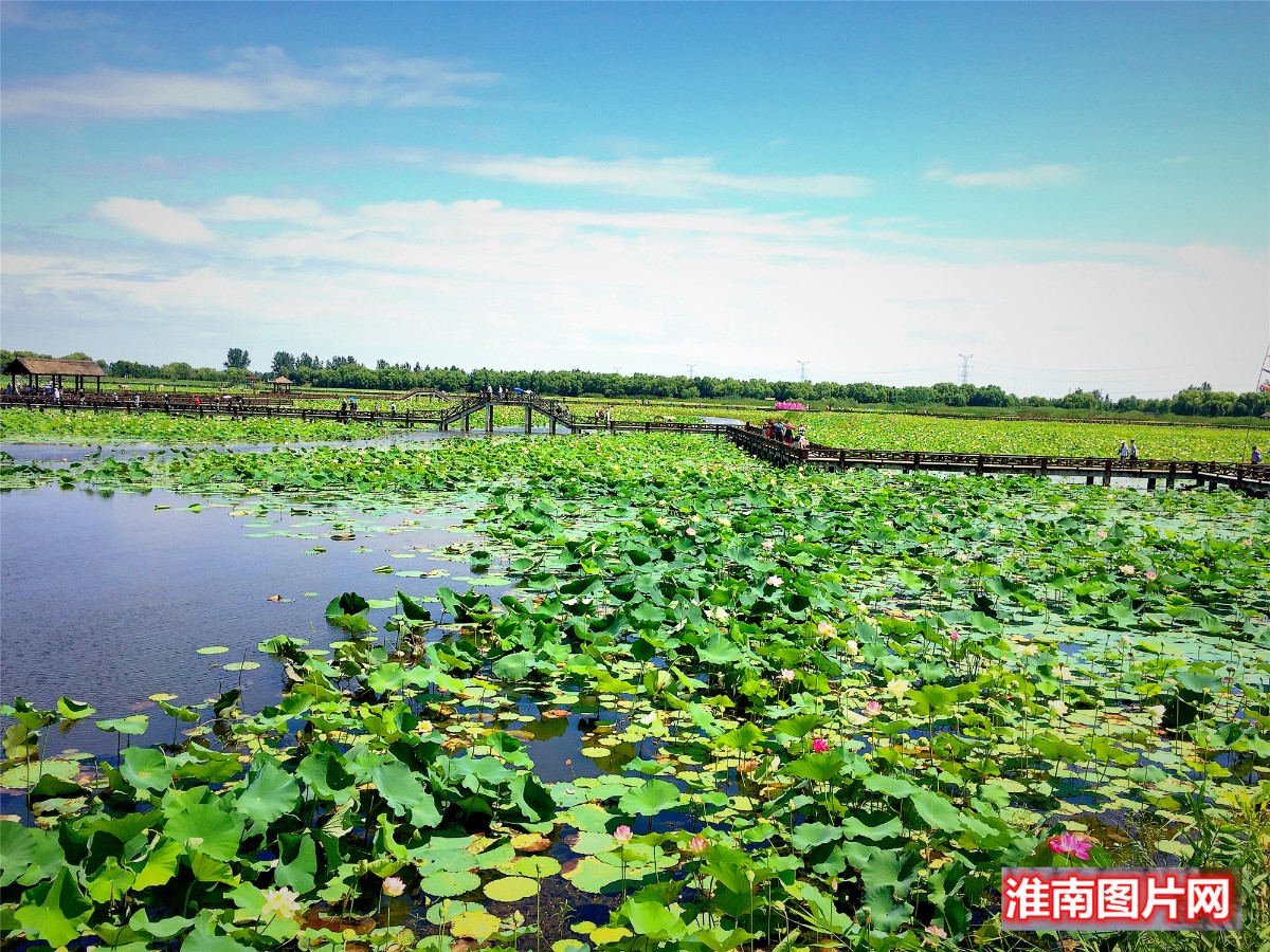 114IMG_6535_副本_副本.jpg