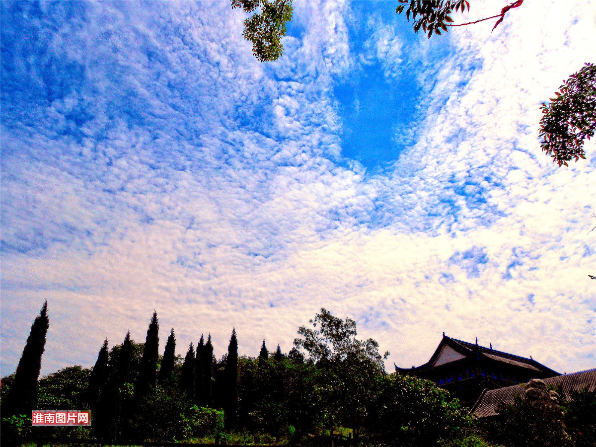 DSCN1084_副本_副本.jpg
