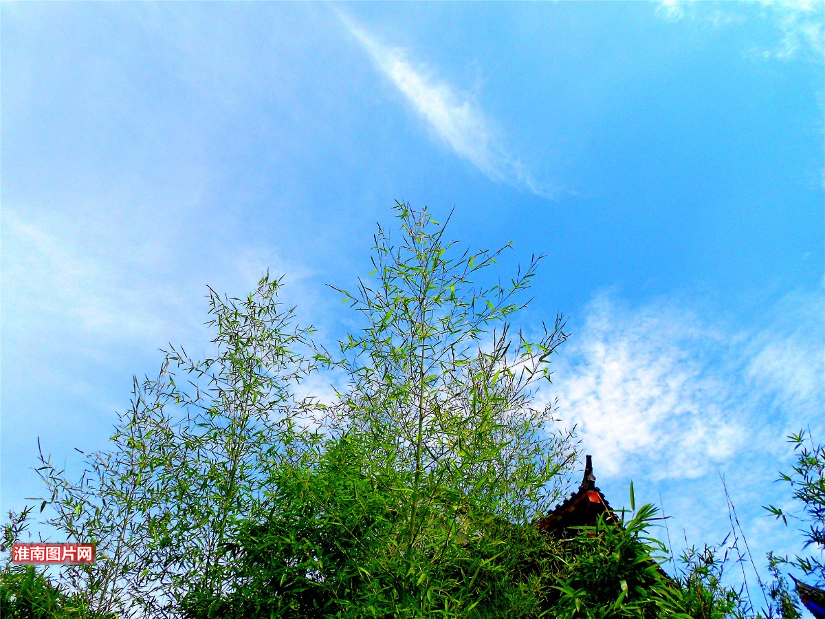 DSCN1120_副本_副本.jpg