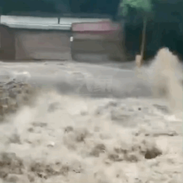 207e5c4dc8f745288b6caa8a4cdf2537.gif