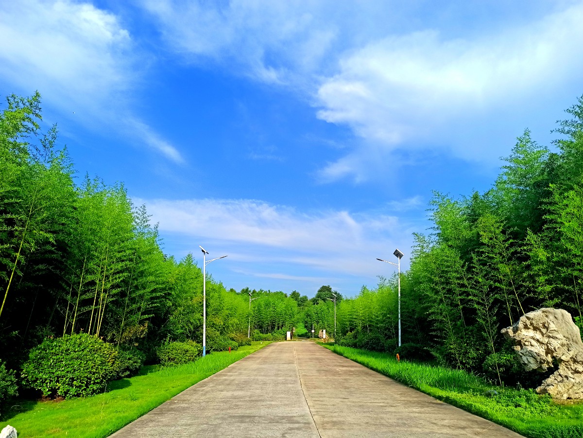 3园区道路.jpg