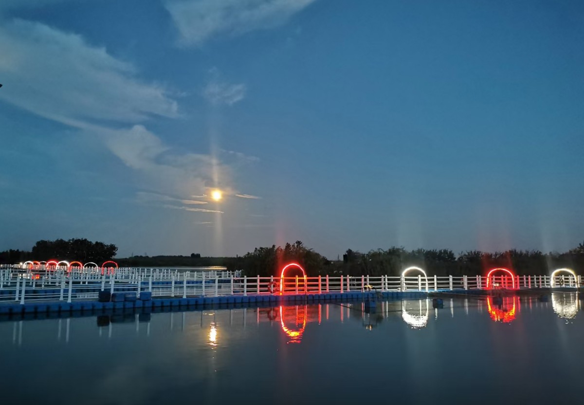 7生态园夜景.jpg