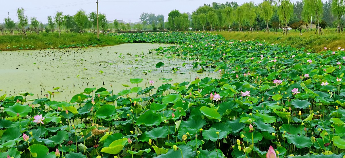 微信图片_202109021355316.jpg 微信图片_202109021355316.jpg